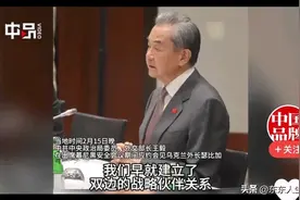 王外长在慕安会提及中乌早就是战略伙伴说给谁听的？大鹅心里有数图片