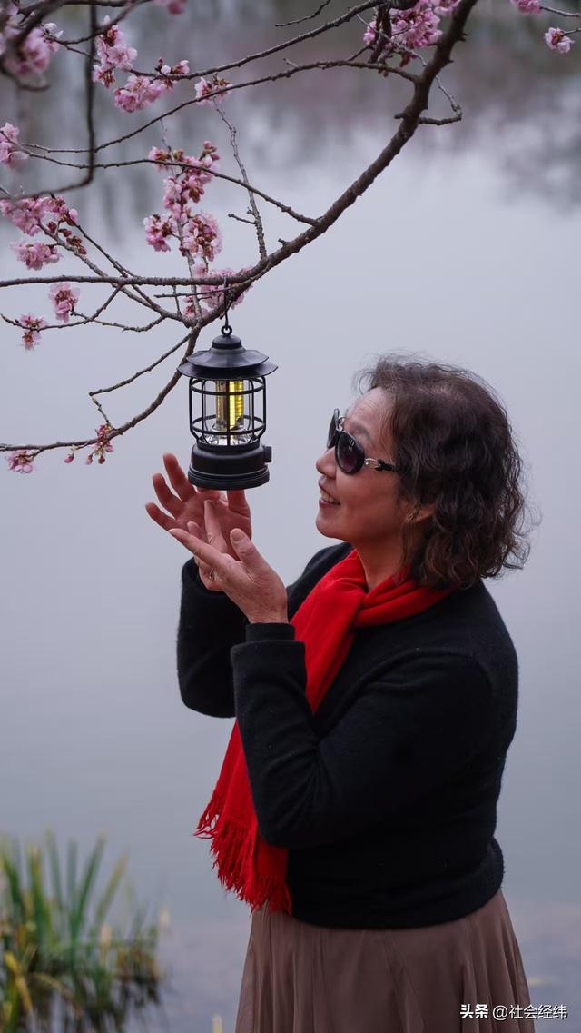 每日一景|寒意未消春意先至 南京中山植物园早樱绽放迎游人