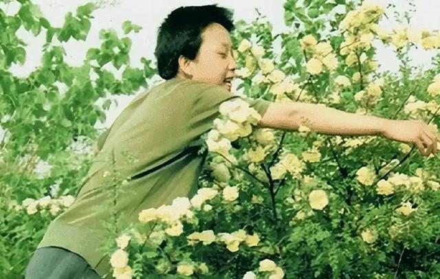 “跳梁小丑”李玉刚跌落神坛，不再被大众宽容，梅葆玖：死不原谅