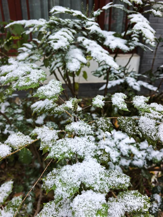 初雪滤镜下的潍坊，美得不一样~