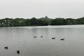 刚从杭州回来，给要去杭州的十点建议。纯干货+闭坑指南！图片