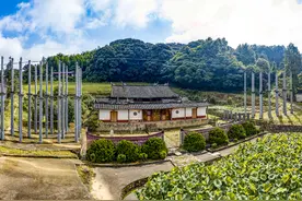 代号71——寻访以建党日作为化名的革命烈士林大蕃图片