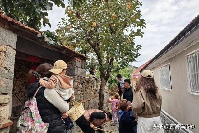 出发杨家山里！秋日游玩攻略已备好→