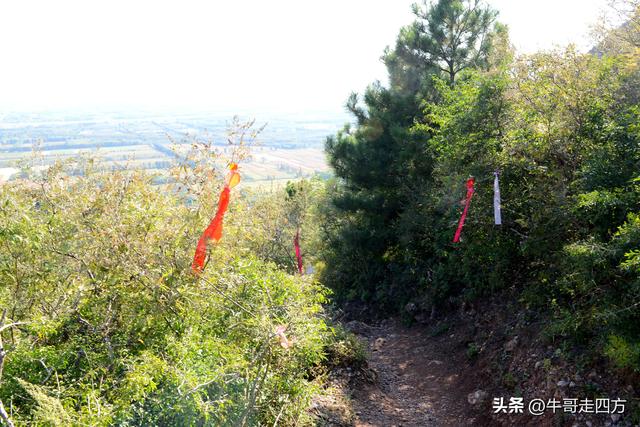 延庆应梦寺（五）：山巅极目收千嶂，林海听风涤尘心