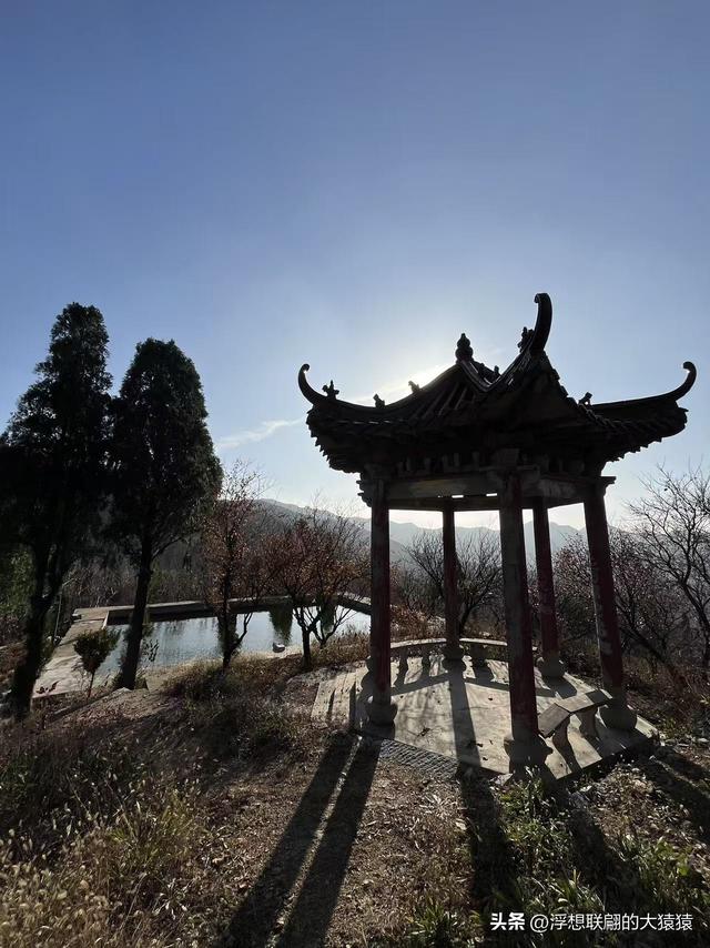 游赏过九鼎山后，我又跑到一户院里“强买”了大爷种在路边的白菜