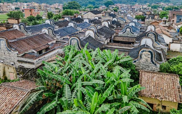 清远深秋十大免费打卡地，邂逅岭南最美金黄秘境！