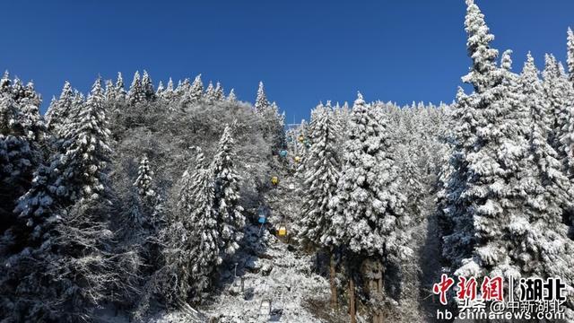 湖北咸丰：林海银装素裹宛如冬日秘境