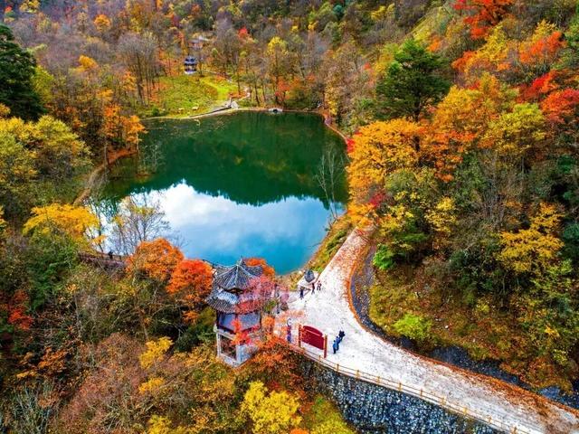 免票！5折！2025秋假大礼包特惠来啦！多重惊喜等你解锁→