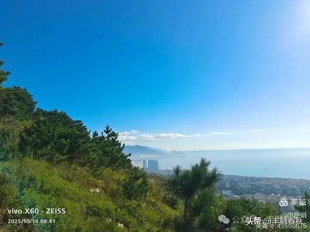 浮山漫记：藏在青岛城央的自然诗篇｜申艳娟