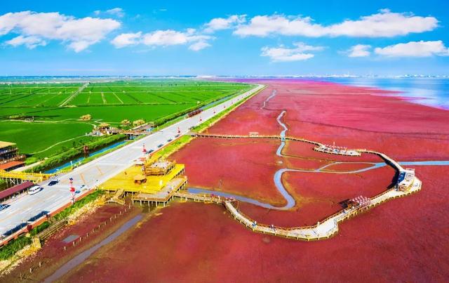 红海滩进入最佳观赏期！亮相央视展魅力，拟评2025“辽宁优品”