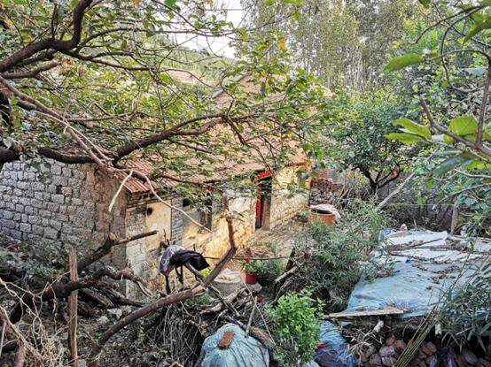 人在旅途（1）：我的家乡，山东安丘一个小山村。