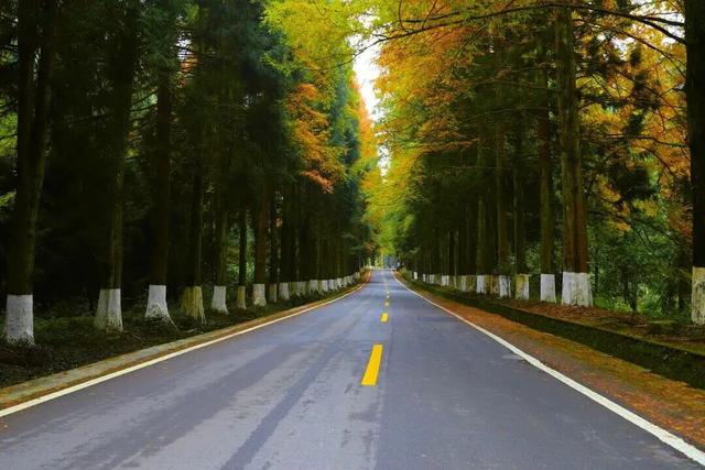 这个秋天来坪坝营，把日子过成童话！