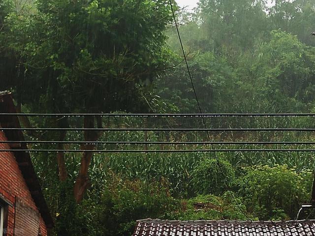 散文·中秋连云港 大雨润山河
