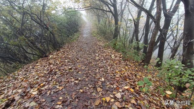 再游石门山森林公园