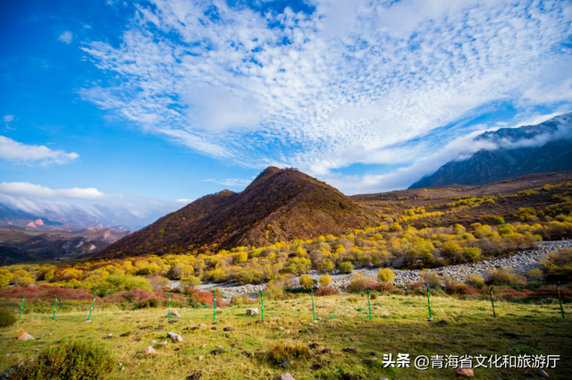 今日寒露丨寒露已至，秋的故事已渐入佳境