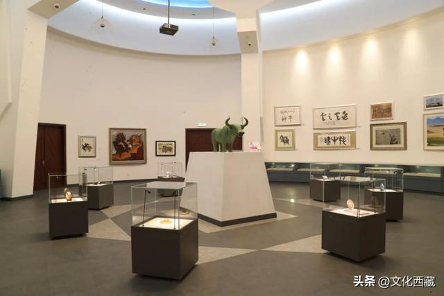 世界唯一！全年免费开放！西藏小众博物馆！99%的人没去过！