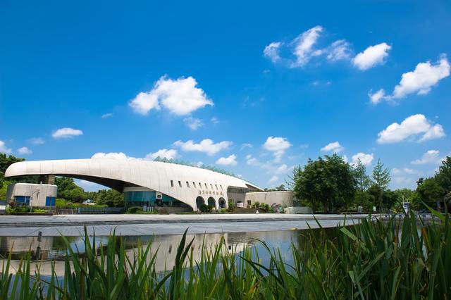 四川省大安区历史沿革及行政区划