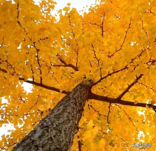 涉县：美拉德配色里，藏着橙黄橘绿的诗意