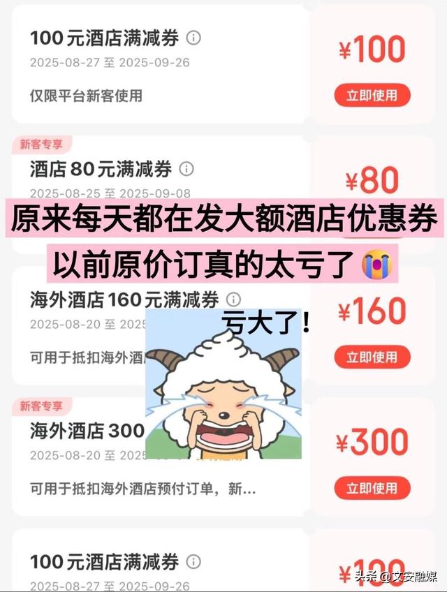 大学生怎么订酒店便宜？大学生民宿怎么订便宜？3个方法教会你酒店怎么住最划算！