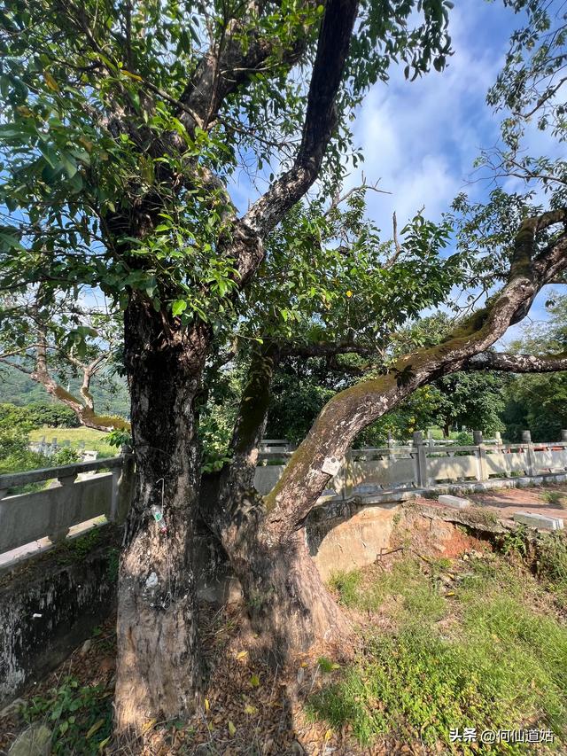 西河古桥，广州第一石桥