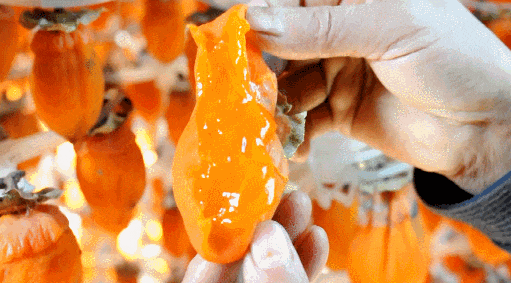 美景、品美食，来歙县，遇见一场“秋意浓”丨第十五届安徽国际文化旅游节