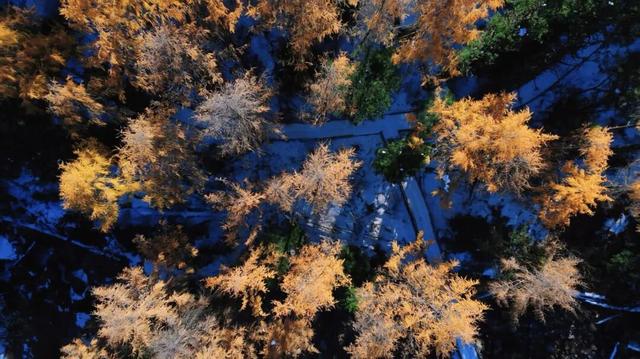 立即出发 | 直奔达古冰川，解锁第一份冬游攻略！