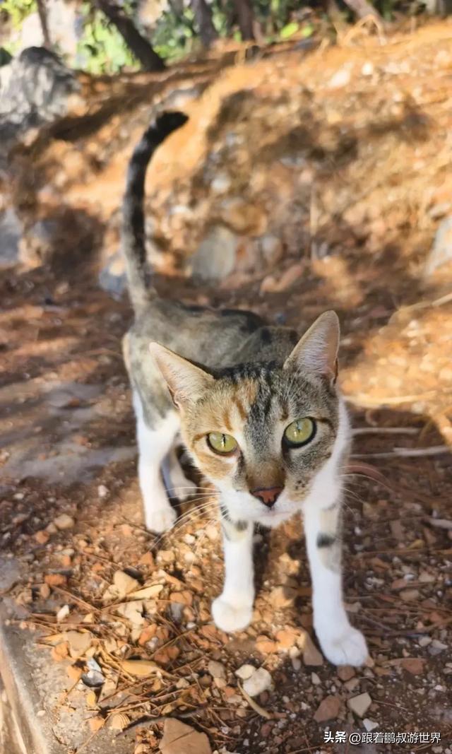 希腊，无疑是我近年来去的欧洲国家里对中国最友好的国家