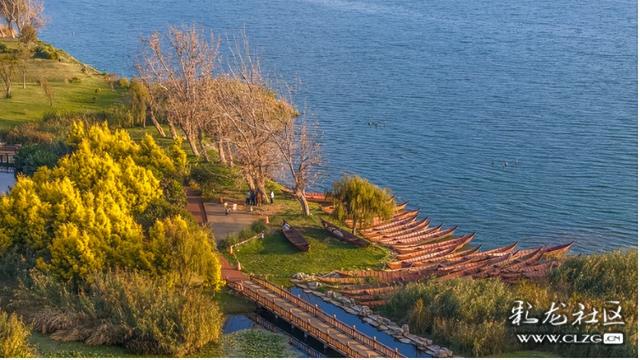 旅居云南·昆明好在（二十八）避寒游邂逅春城美