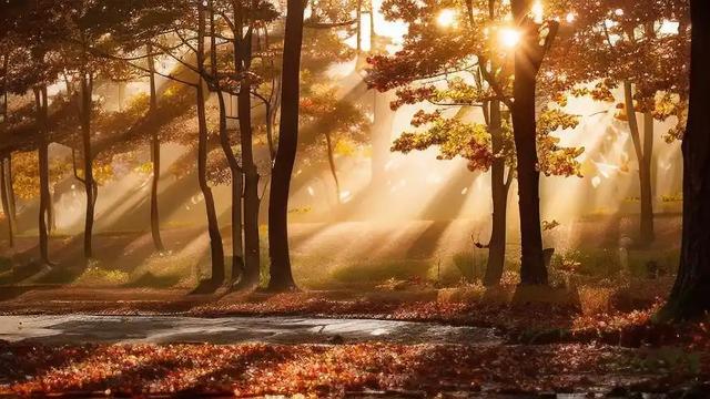 比红枣补血	，黄芪补气！秋冬每天吃几颗，助眠补气血，养出好气色