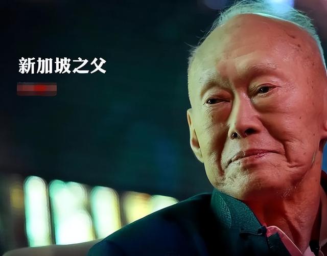 军队再强大，经济再富足，武器再尖端，没有伟大领袖，全都白瞎