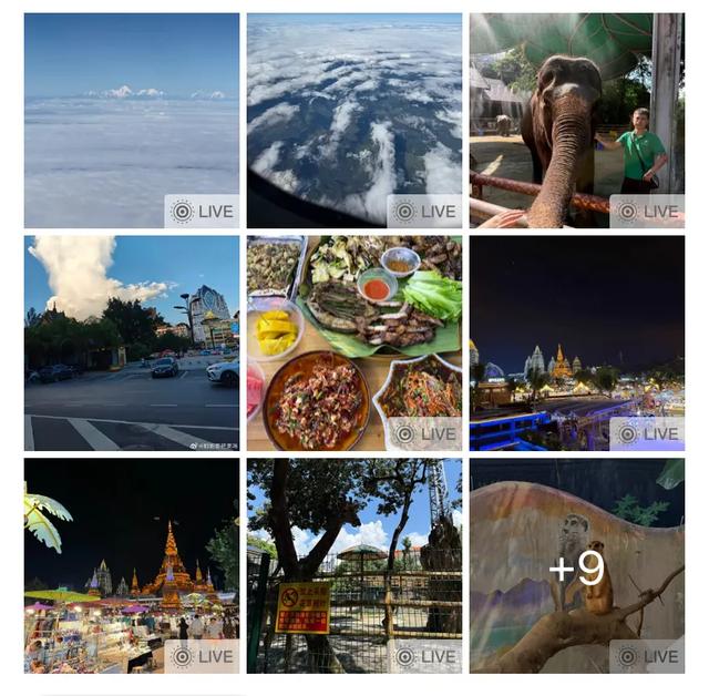 这可能是我买过的最离谱的特产: