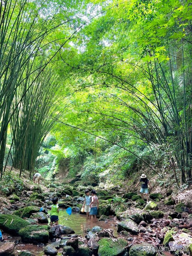 湖南永州阳明山打卡攻略 | 邂逅22℃的清凉与美好！