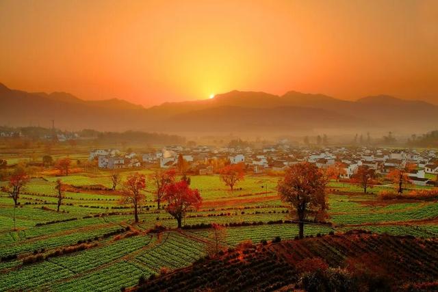 赏秋正当时！跟着杨紫独白，一起解锁塔川「最美秋色」 | 皖美冬日 | 第十五届安徽国际文化旅游节