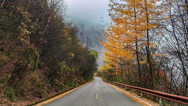 2024深秋四川行19 神农架风景区2 华中屋脊的五彩秘境