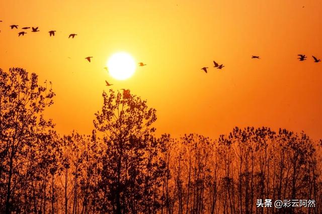 新一轮强降水来袭，冷空气局地降温12℃，明日9月8~10号降雨如下
