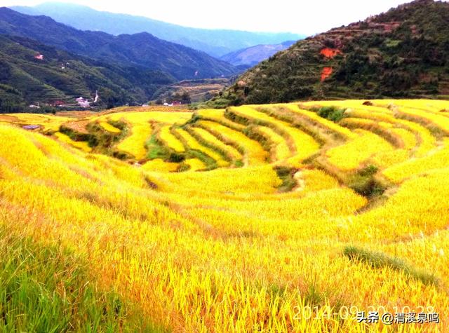 五山行记:清波里的新生