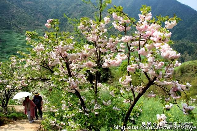 婺源篁岭旅游札记[三]（江西之旅第四十五篇）