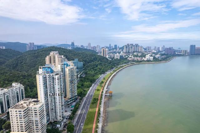 情侣路，凭什么成为大湾区顶流？