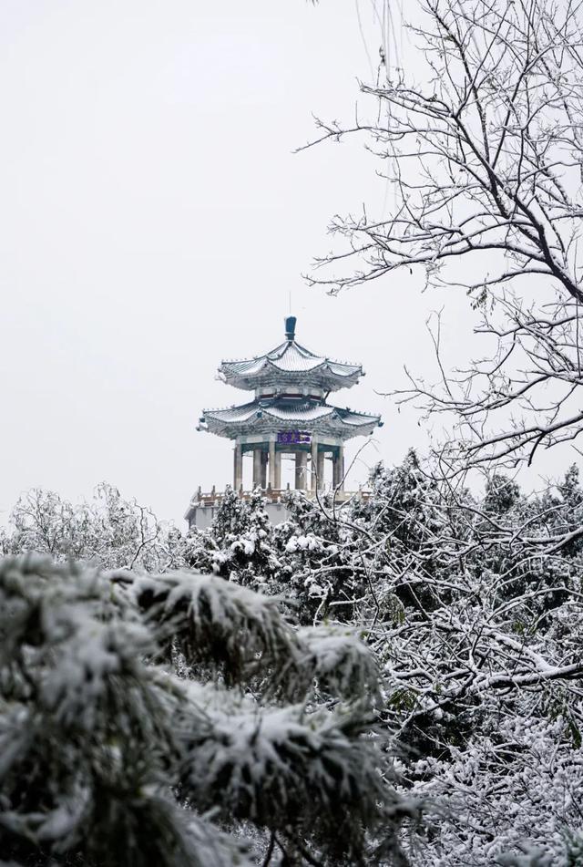 接下来的淄博，「冬日隐藏副本」藏不住了！