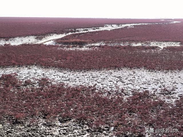 2025辽宁赏秋之旅日记(5)——从本溪前往盘锦 游览红海滩景观