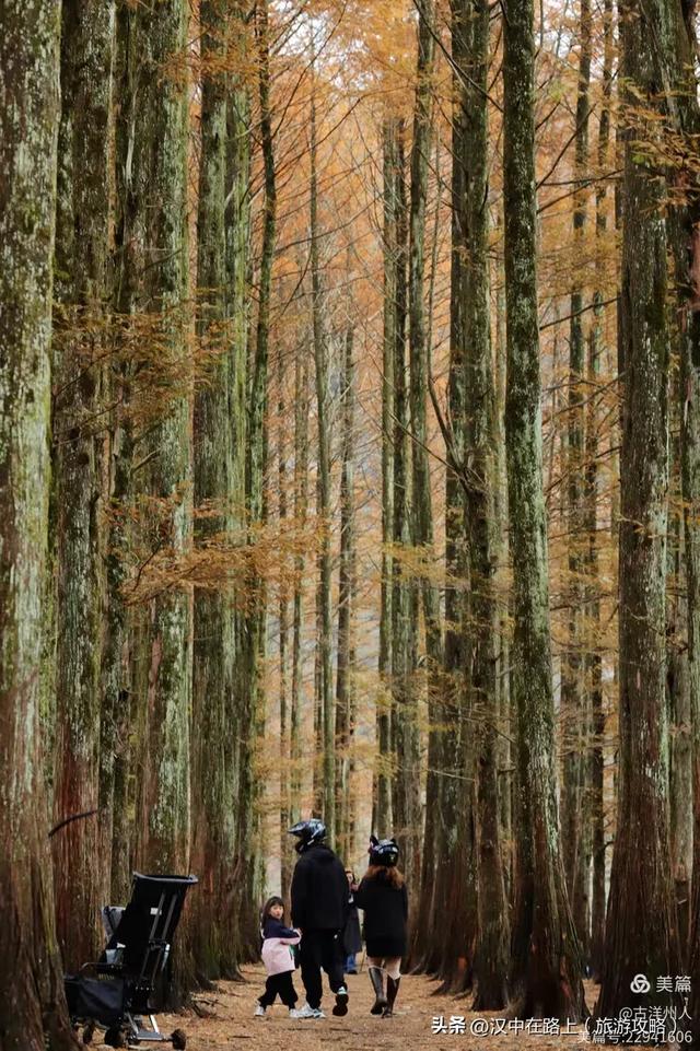 龙池秋色惹人醉
