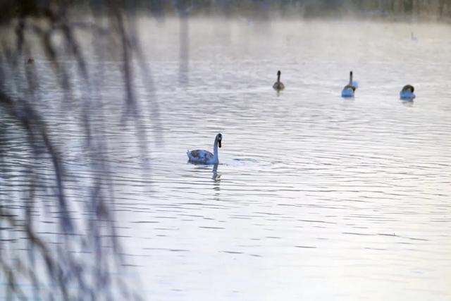 如要选一个冬季最佳拍雪景的地方,首选一定是它