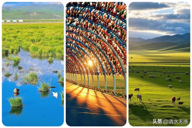 自驾甘南，超详细7天深度旅游攻略（附行程）