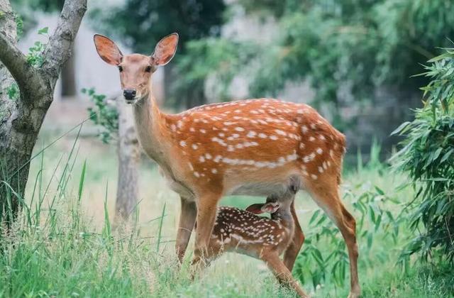 降温天的终极浪漫，是泡进一池温泉里