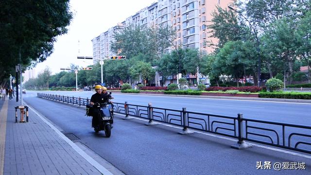 行进2025·“武”文潮生① “小而美”精致武城 人人都是“推介官”#武城