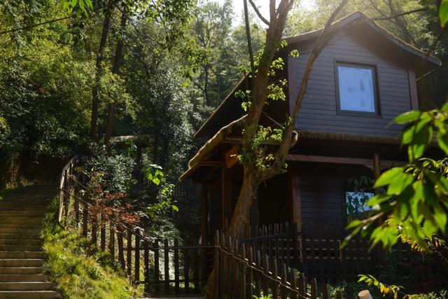 可惜你不听《枫》,不知道醴陵这片枫林到底有多美!