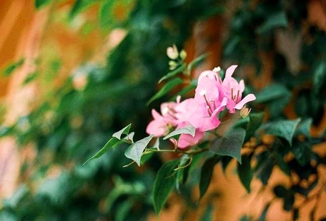 女人若是真心爱你，会有以下三个本能反应，她有吗？