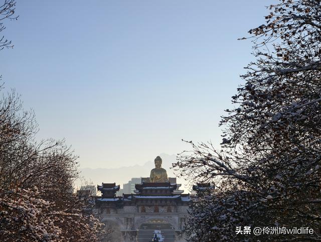 新疆乌鲁木齐红光山大佛寺