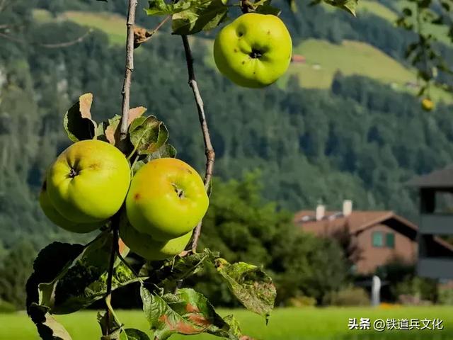 瑞士龙疆小镇【原创】:原铁十师:陶玉和