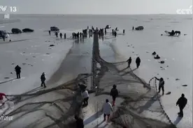 焦点访谈｜快递业“跑”出加速度，“货畅其流”展现中国经济蓬勃活力图片